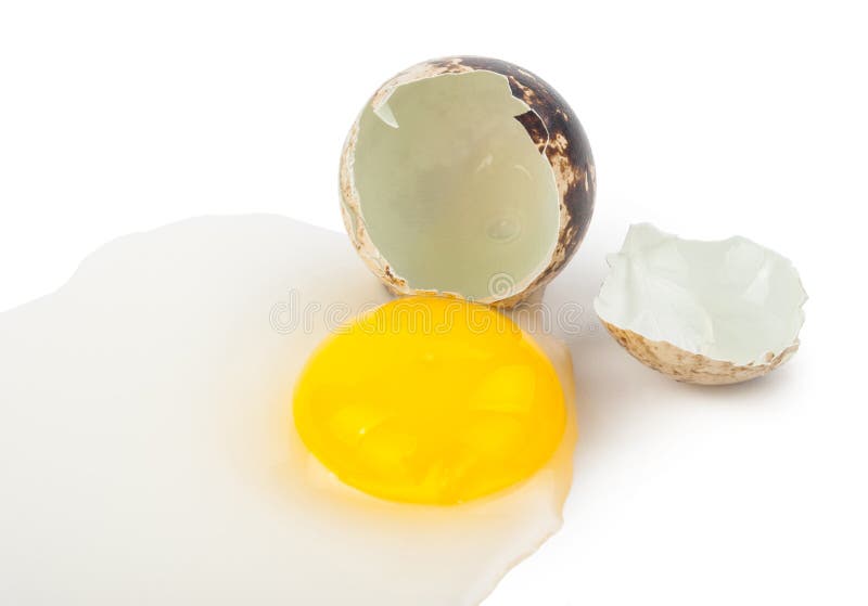 Egg Yolk Protein on the Flour for Bakery Stock Photo Image of food