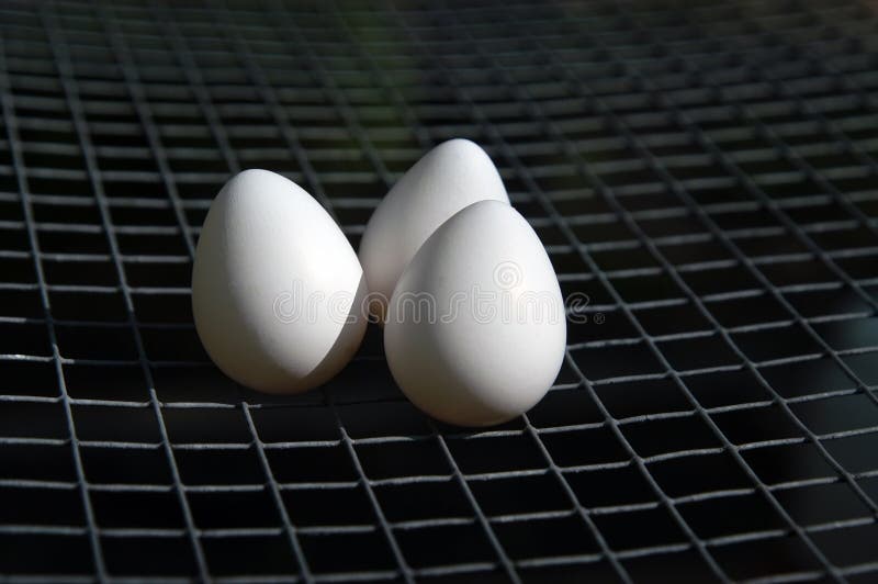 Quail Eggs stock image. Image of quail, food, tasty, wholesome 201369
