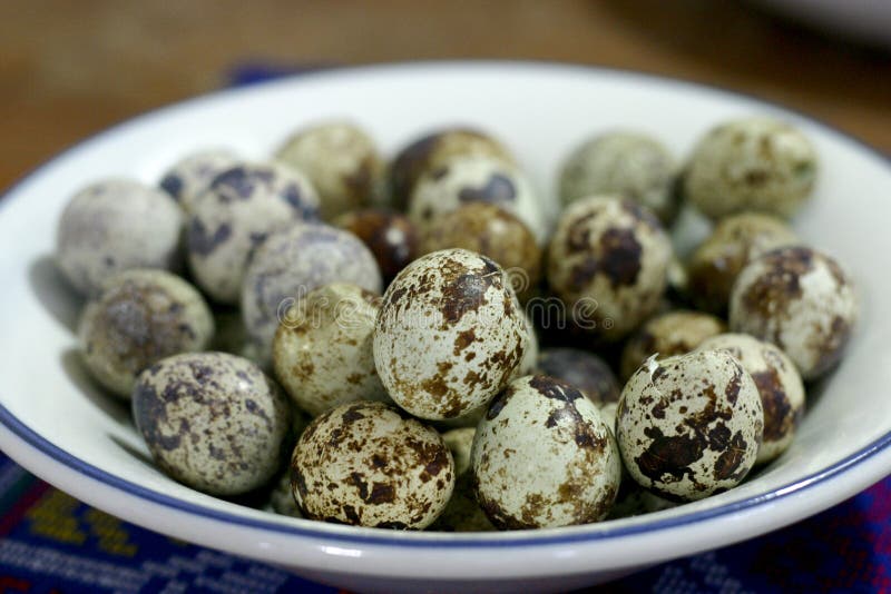 Quail Eggs stock photo. Image of travel, asian, philippines 4197138