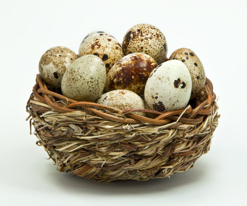 Quail eggs in the basket