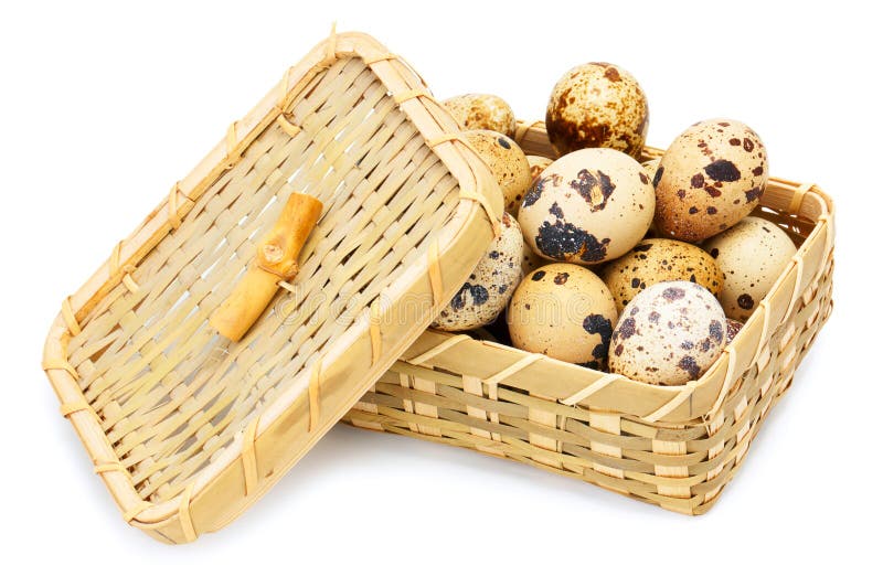 Quail eggs in basket stock image. Image of vitamin, nature 21875417