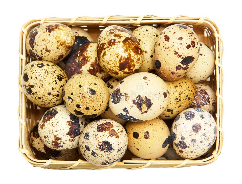 Quail eggs in basket stock image. Image of protein, healthy 21875425
