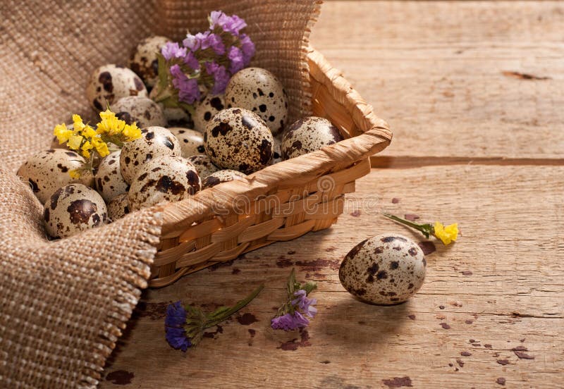 Quail eggs in basket stock photo. Image of flowers, closeup 38016532