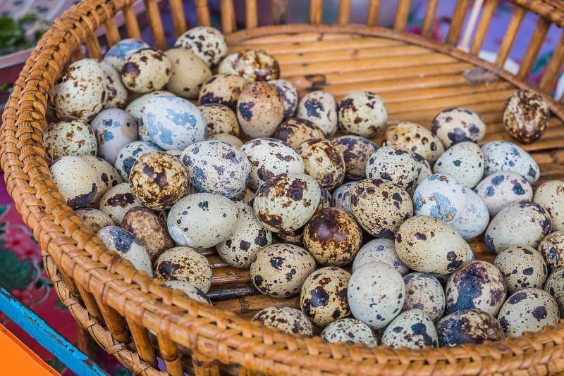 Quail eggs stock image. Image of food, sale, iron, quail 93520829