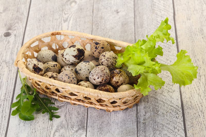 Quail eggs in the basket stock image. Image of nature 184360699