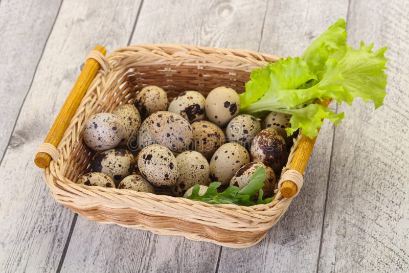 Quail eggs in the basket stock image. Image of bird 197573527