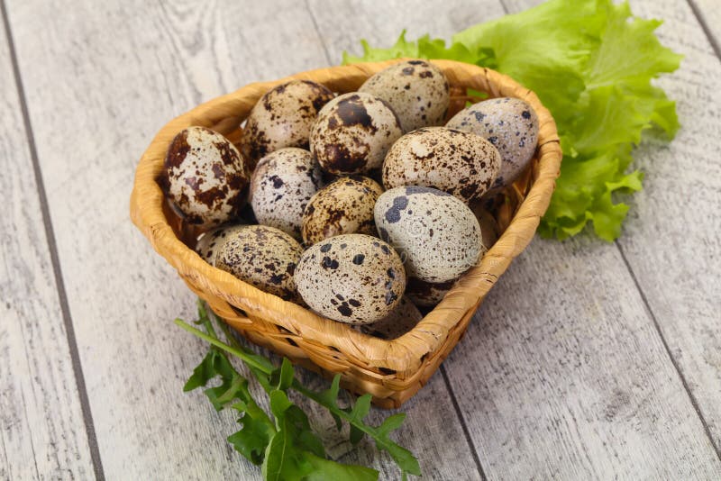 Quail eggs in the basket stock image. Image of cooking 200080571