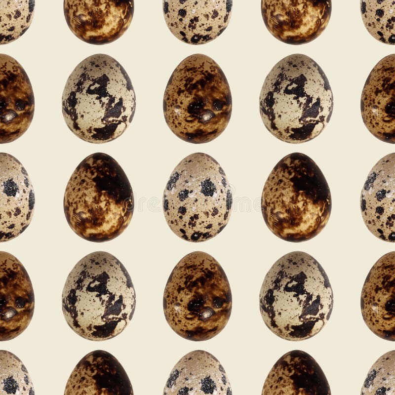 Quail eggs bird food kitchen photo seamless pattern texture background stock photography