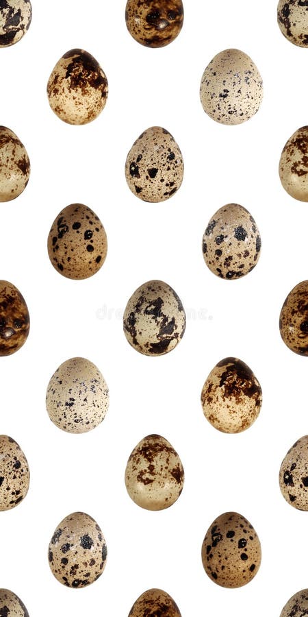 Quail eggs bird food kitchen photo seamless pattern texture background royalty free stock photography