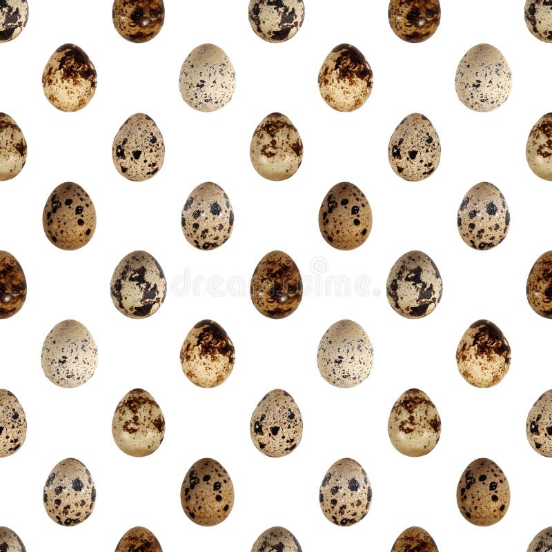 Quail eggs bird food kitchen photo seamless pattern texture background royalty free stock image