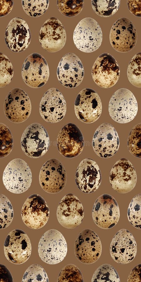 Quail eggs bird food kitchen photo seamless pattern texture background stock photography