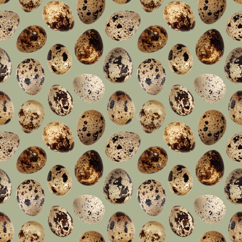 Quail eggs bird food kitchen photo seamless pattern texture craft background stock photo