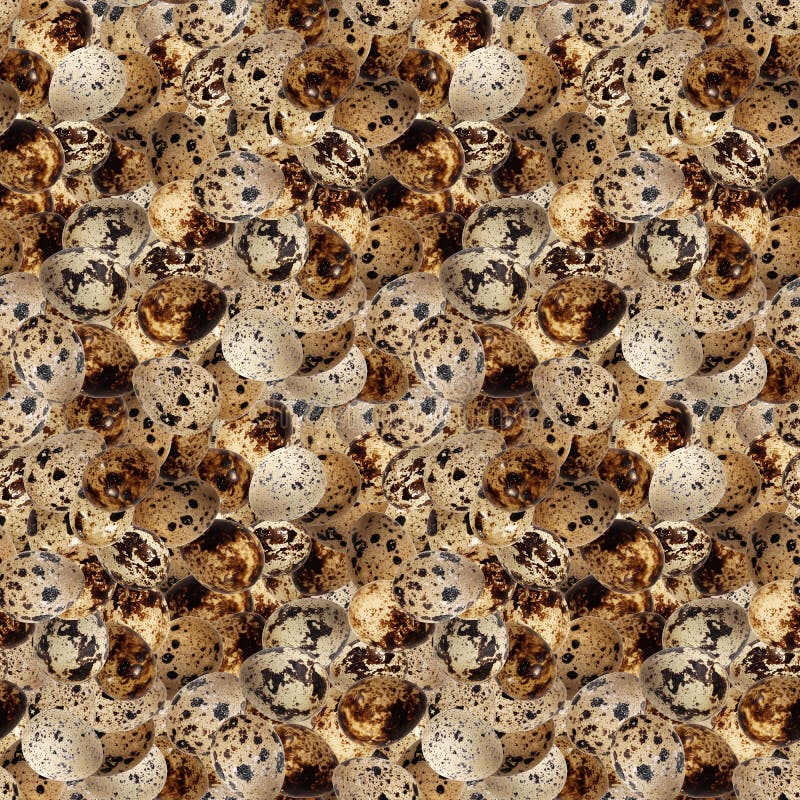 Quail eggs bird food kitchen photo seamless pattern texture craft background royalty free stock image