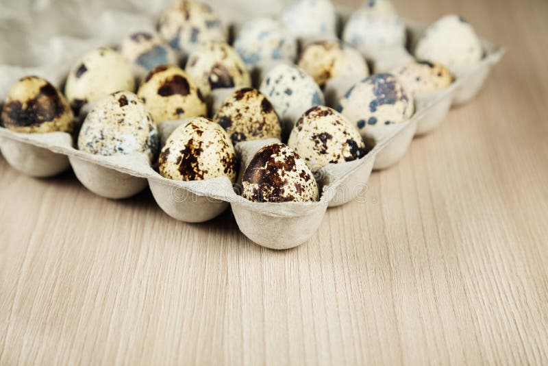 Quail Eggs in a Cardboard Box with Cells Stock Photo Image of eggs