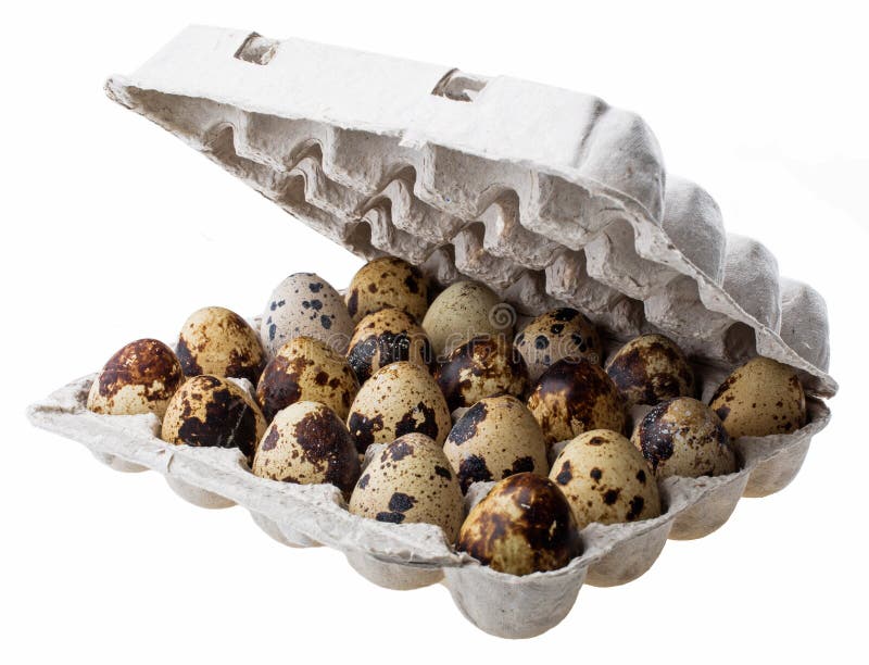 Quail eggs in carton box