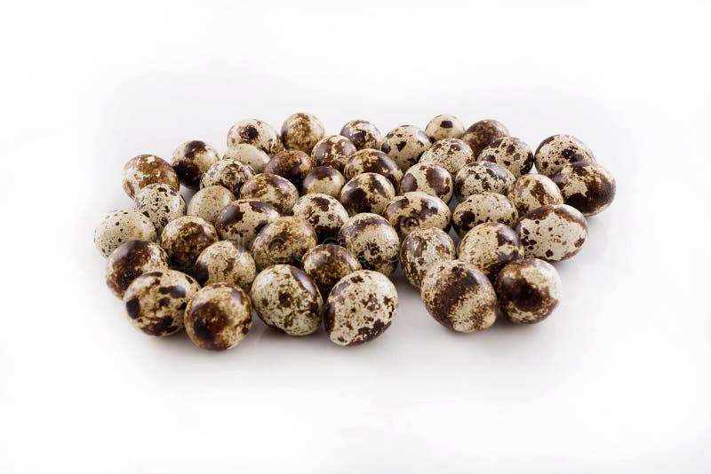 Quail eggs stock photo. Image of fresh, eggshell, delicacy 81054894