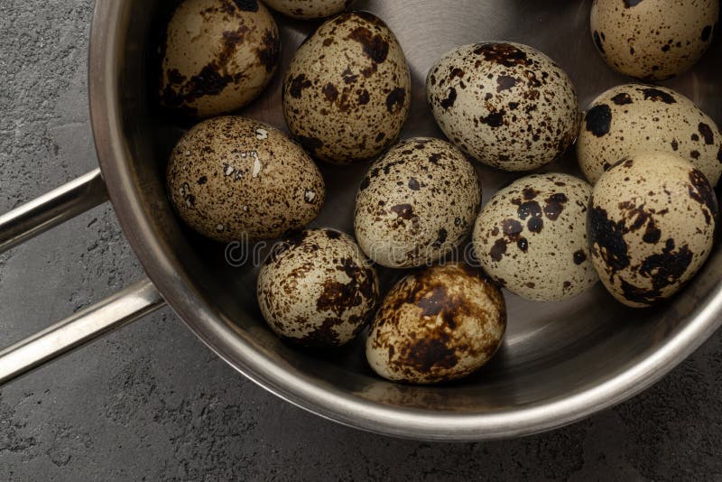 Quail Eggs in a Metal Pan with a Handle Stock Photo Image of cooking