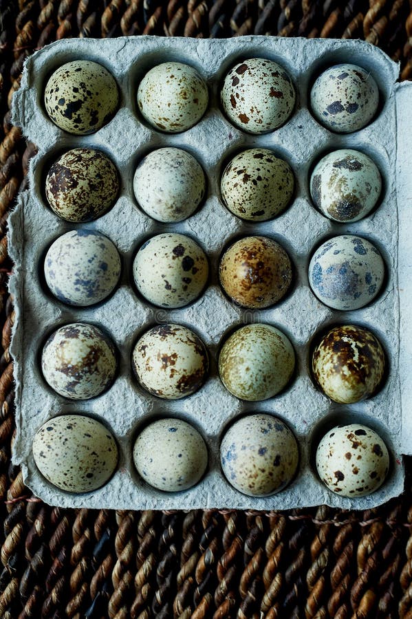 Quail Eggs, Photographed in a Simple Rustic Style.Simple Proteinrich