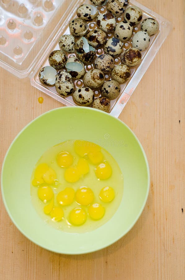 Quail Eggs in a Plastic Bowl Stock Photo Image of cholesterol, eggs