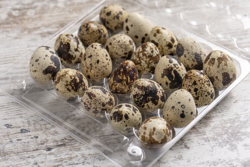 Quail Eggs in Plastic Containers . Stock Photo Image of nature, knife