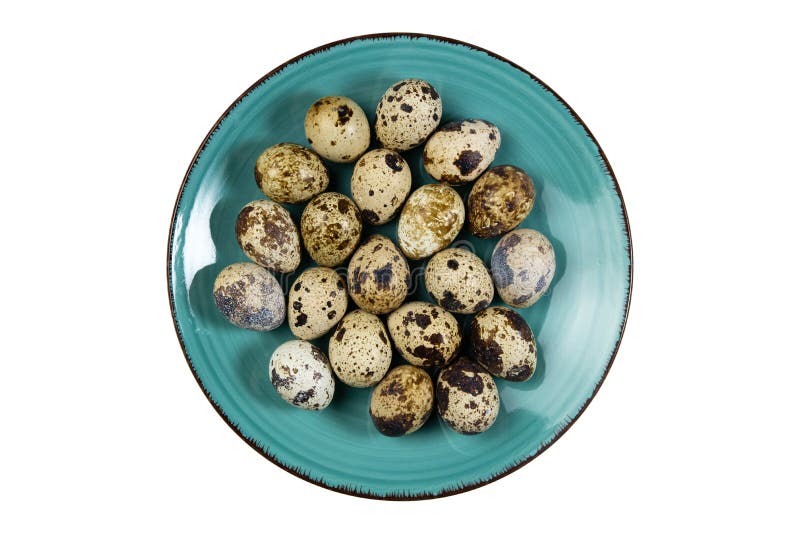 Quail Eggs on Round Plate Isolated on White, Top View of Fresh Quail