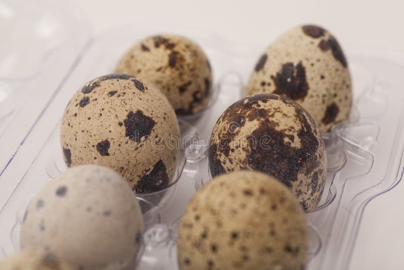 Quail eggs stock image. Image of close, delicacy, meal 56414991