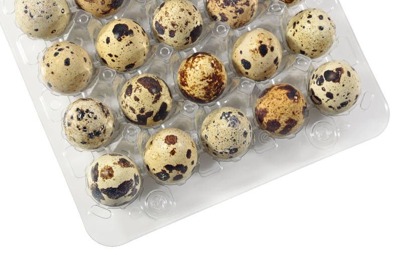 Quail Eggs in a Transparent Plastic Container on a White Stock Image