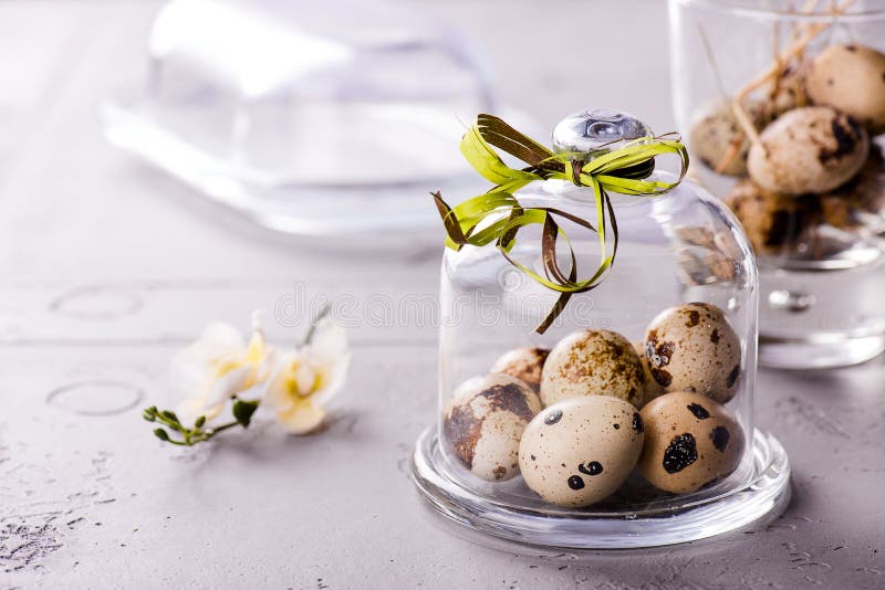 Quail S Eggs Under a Glass Cloche with a Ribbon Stock Photo Image of