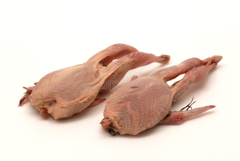 Quails stock image. Image of meat, butcher, kitchen, skinned 14252629