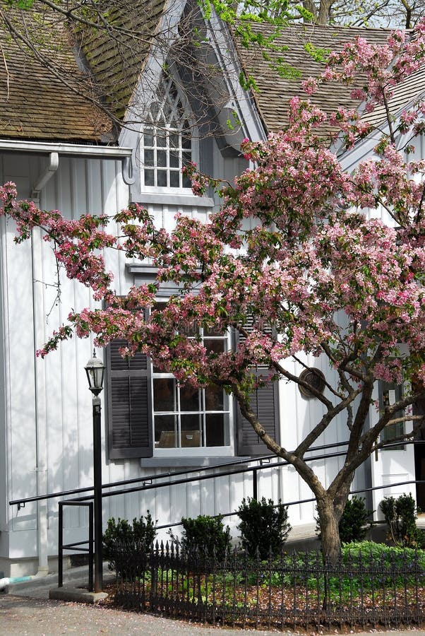 Quaint Victorian house