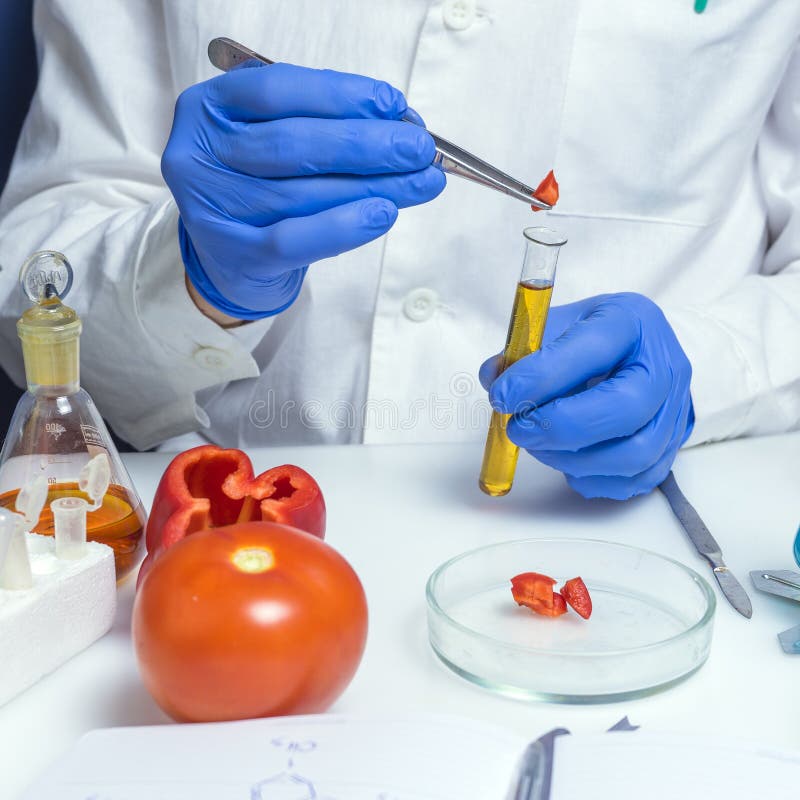 522 Food Safety Inspector Stock Photos Free & RoyaltyFree Stock