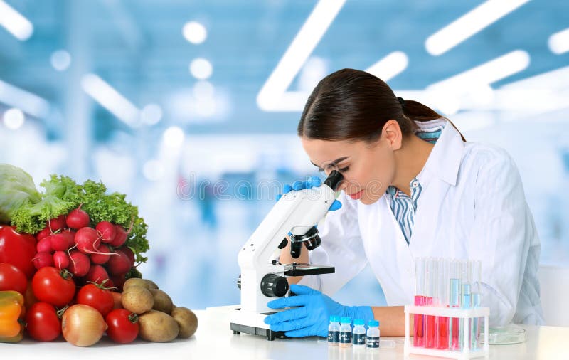 Quality Control Specialist Inspecting Food in Laboratory Stock Photo