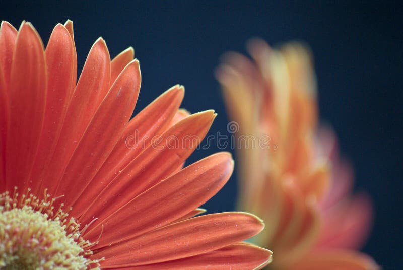 Soil Layers and,its Colours and Textures Stock Photo Image of brown