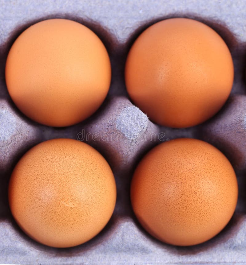 Quatre oeufs bruns dans la boîte à oeufs image libre de droits Quatre oeufs bruns dans la boîte à oeufs image libre de droits