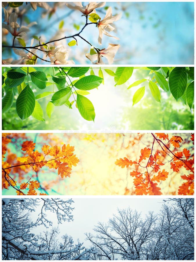 Quatro estações. uma imagem que mostra quatro imagens diferentes representando as quatro estações : Verão da primavera de inverno