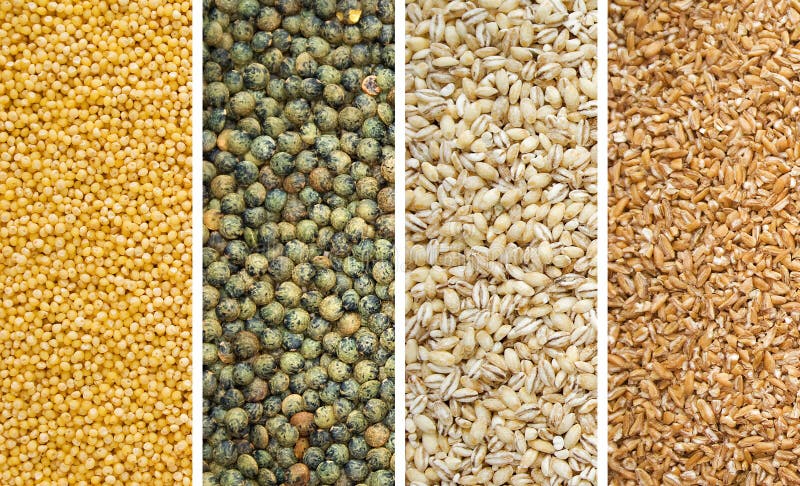 Quatro Grãos Secos fotos de stock