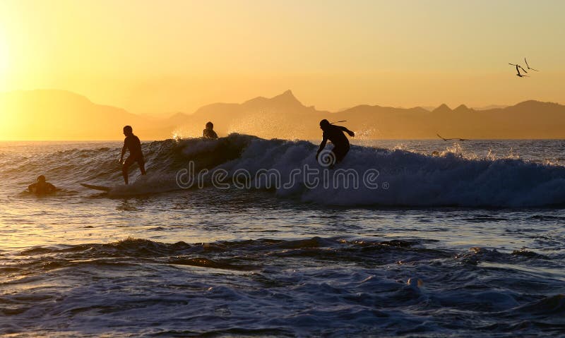Quattro surfisti su un'onda