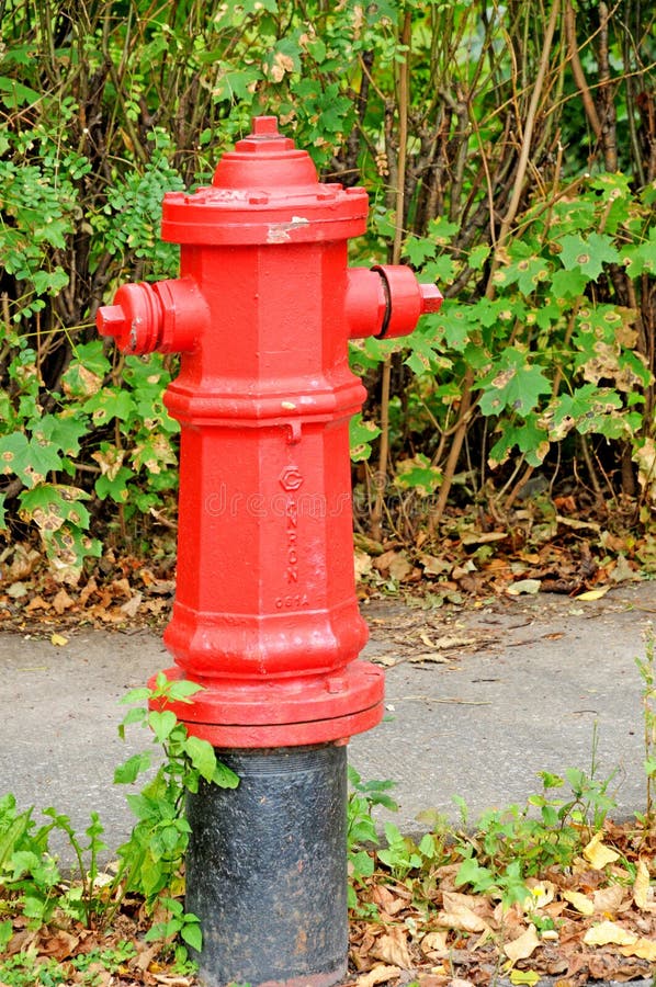Quebec Fire Hydrant Levis Stock Photos Free & RoyaltyFree Stock