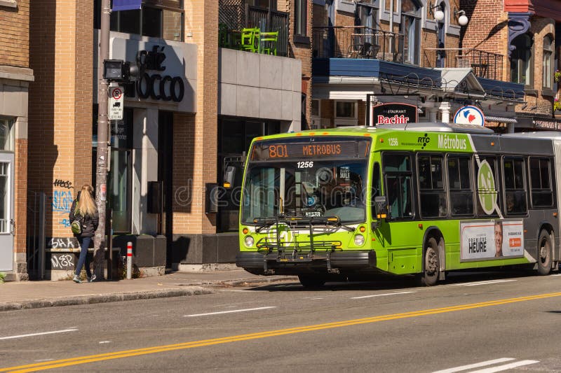 Bus gratuit enfant quebec