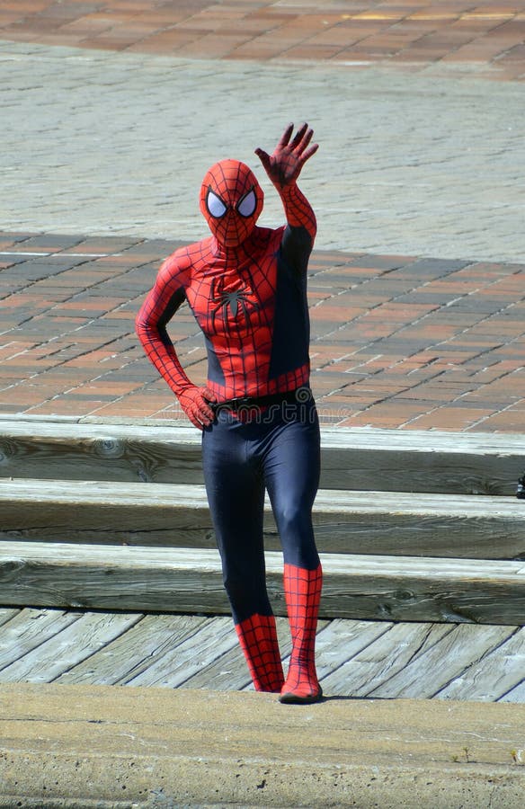 Boys Deluxe Spiderman Costume – Toyzone – Wholesale