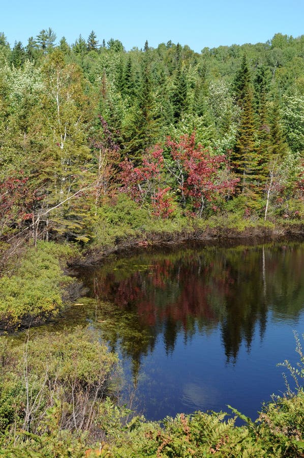 Harvey s Lake stock photo. Image of slide, pennsylvania 15746410