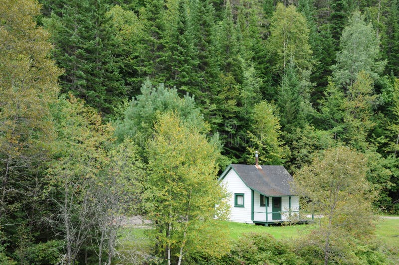 Quebec, Old House in Matapedia Forest in Gaspesie Stock Image Image