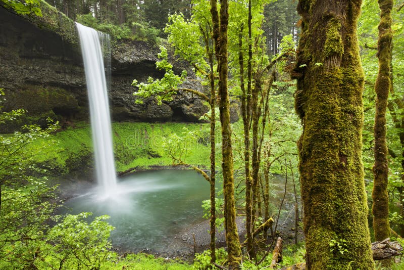 Quedas sul nas quedas de prata parque estadual, Oregon, EUA