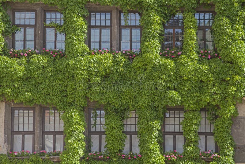 λεπτομερής εικόνα του ιστορικού της πόλης Quedlinburg στοκ εικόνες