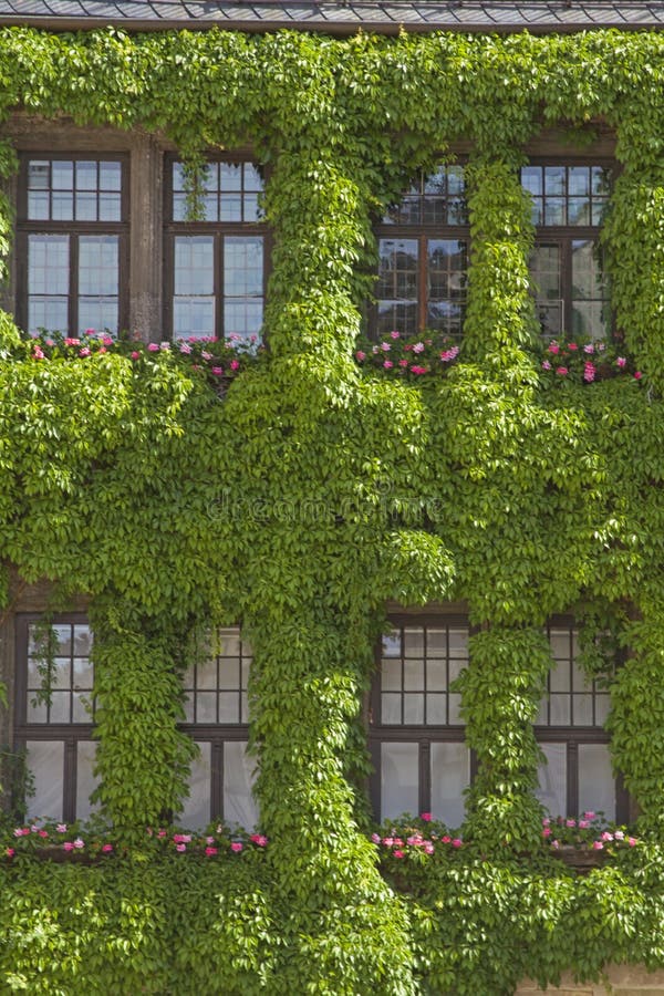 λεπτομερής άποψη του δημοτικού συμβουλίου του quedlinburg στοκ εικόνα με δικαίωμα ελεύθερης χρήσης