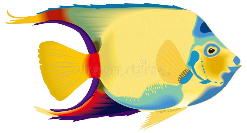 Angel Fish Stock Illustrations – 1,559 Angel Fish Stock Illustrations ...