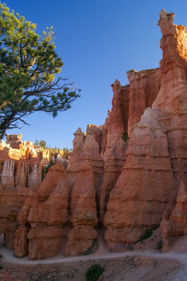 Queen& x27 ; traînée de jardin de s, Bryce Canyon photo stock Queen& x27 ; traînée de jardin de s, Bryce Canyon photo stock