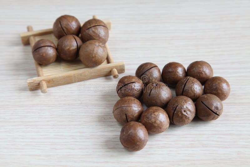 Queensland nut stock photo. Image of australian, economic 55706404