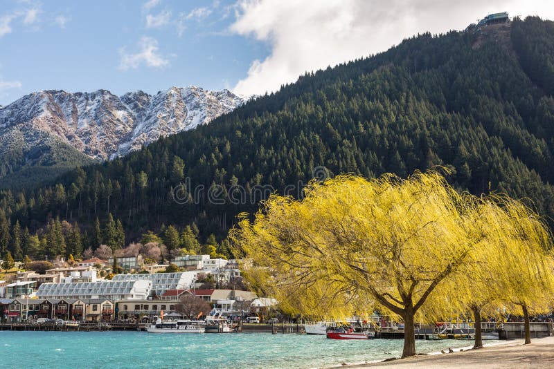 Queenstown Beach stock photo. Image of pine, blue, island 58895514