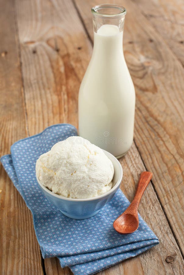 Queijo e leite caseiros, frescos e orgânicos imagem de stock